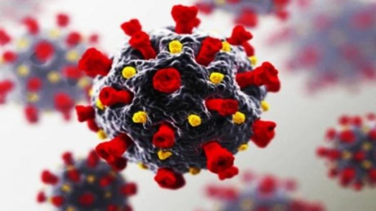 himachal-news-corona-positive-rate-reduced-to-15-83-in-himachal-pradesh-MAY-27-2021