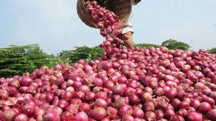 Onion Politics: Whenever the onion woke up, the government fell may 31 2021 