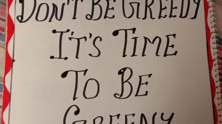 सोलन :बी. एल. स्कूल में ऑनलाइन किया गया पर्यावरण दिवस का आयोजन 