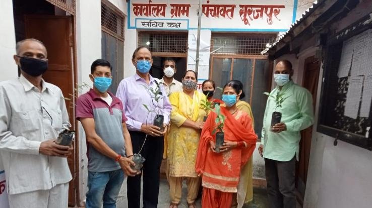 अर्की : विश्व पर्यावरण दिवस पर बांटे औषधीय पौधे