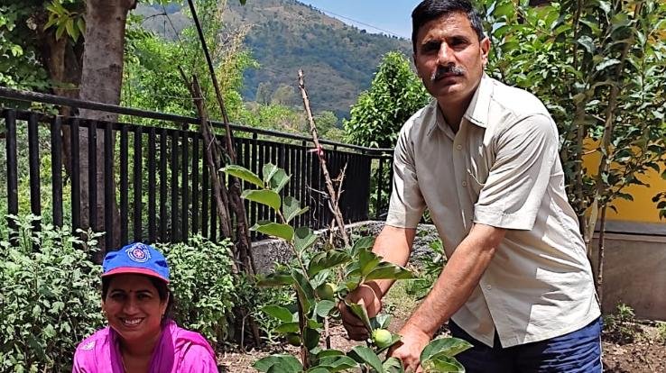 अर्की : विश्व पर्यावरण दिवस पर एनएसएस इकाई ने ऑनलाइन जागरूकता कार्यक्रम किया आयोजित 