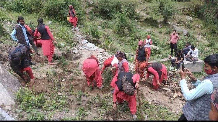 करसोग :विश्व पर्यावरण दिवस पर युवक मण्डल पोखी ने किया पौधारोपण 