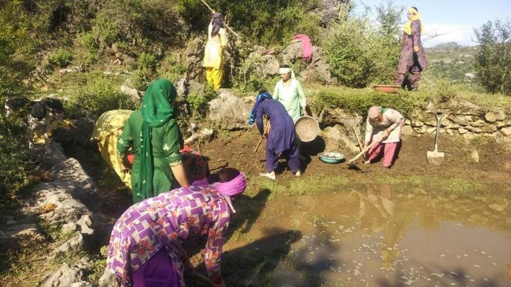 दाड़लाघाट :बनिया देवी महिला मंडल ने चलाया सफाई अभियान 