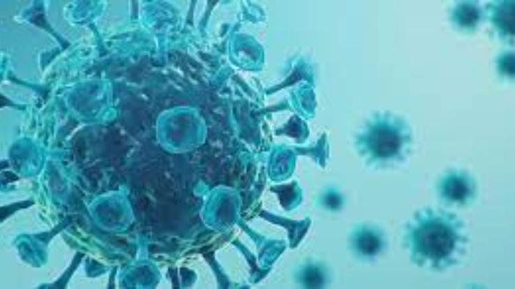 india covid update new cases death