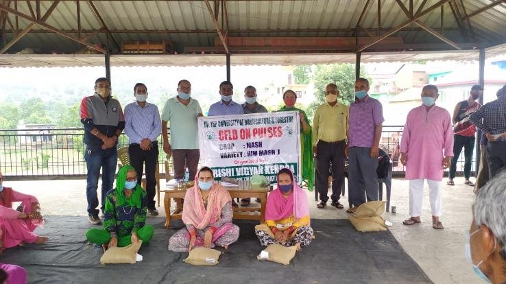 Frontline demonstration will be done on pulses and oilseed crops by Krishi Vigyan Kendra Solan