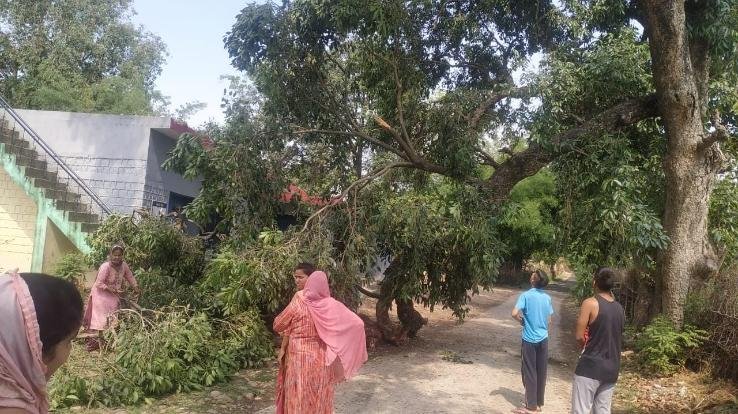 A tree branch fell on the building of Cooperative Society in Lower Bhalbal