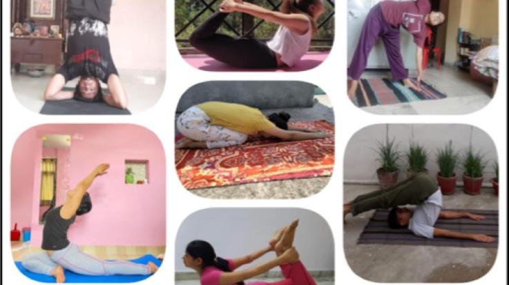 सोलन होमेओपेथी कॉलेज में ऑनलाइन माध्यम से मनाया गया योग दिवस