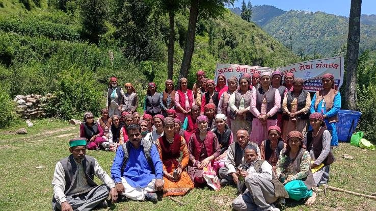 ठियोग : अटल सेवा संगठन द्वारा ग्राम पंचायत केलवी में किया गया पौधारोपण