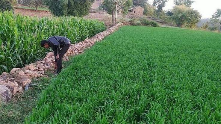 State Government promotes natural farming to double the income of farmers: CM