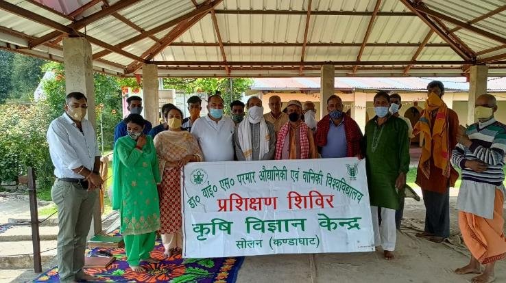 सोलन : कृषि विज्ञान केंद्र के वैज्ञानिकों ने किया नैदानिक दौरा