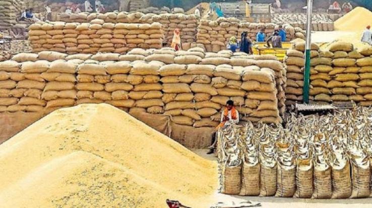 भारतीय खाद्य निगम हिमाचल प्रदेश द्वारा राज्य के 3258 किसानों से 13040 मीट्रिक टन गेहूं की हुई सीधी खरीद