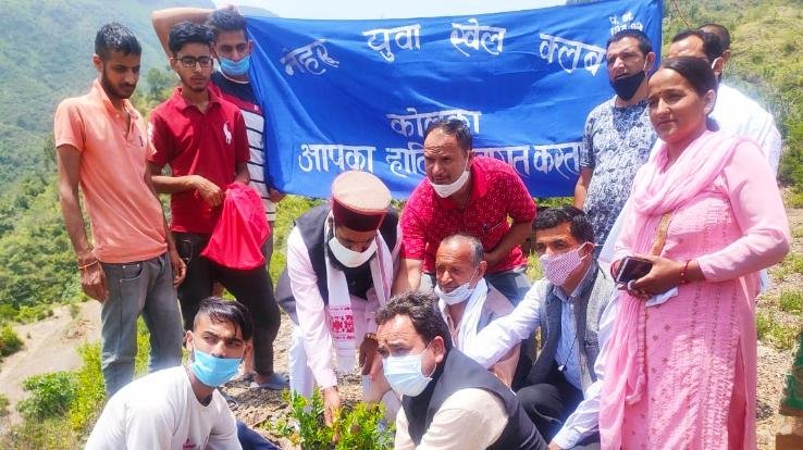 अर्की : डा.श्यामा प्रसाद मुखर्जी की जयंति पर किया गया पौधारोपण