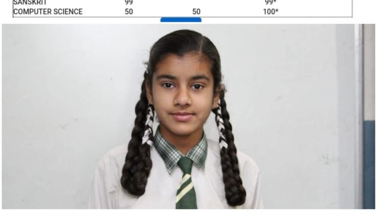 दाड़लाघाट : 10वीं कक्षा में नेशनल पब्लिक सीनियर सेकेंडरी स्कूल धुंदन के छात्रों ने किया बेहतरीन प्रदर्शन