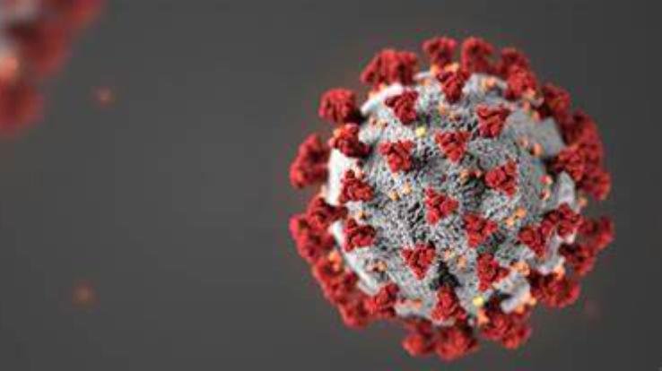 हिमाचल प्रदेश में पिछले सप्ताह एक प्रतिशत रही कोविड-19 पाॅजिटिविटी दर