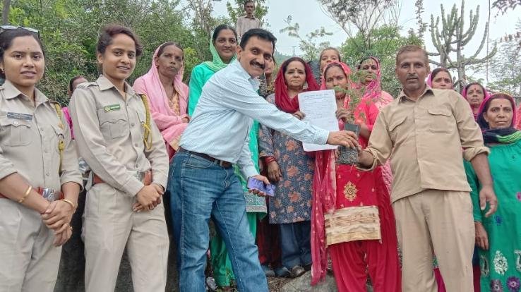 दाड़लाघाट : वन परिक्षेत्र दाड़लाघाट के तहत मंगलवार को मनलोग बड़ोग में किया गया पौधा रोपण