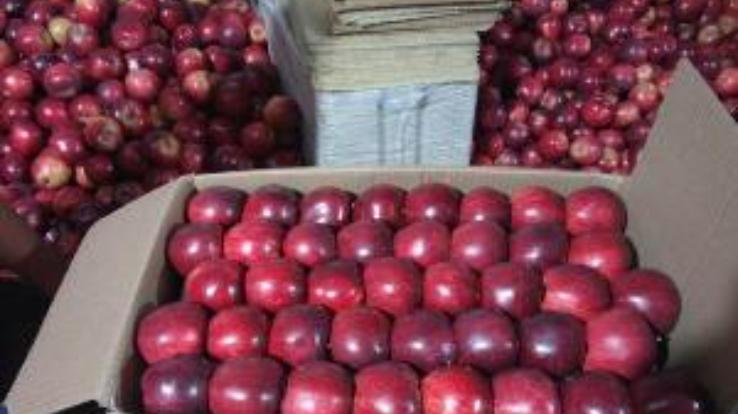 शिमला:  सेब बागवानों को महंगाई का झटका, ट्रकों से सेब ढुलाई 5 फीसदी महंगी