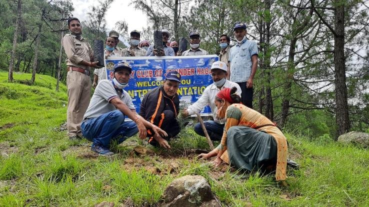 जोगिन्दर नगर : छापरोट में एसडीएम मेजर विशाल शर्मा ने रोटरी क्लब जोगिंदर नगर के साथ किया पौधरोपण