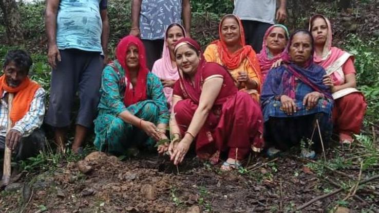 देहरा : चौली प्रधान ज्योति देवी संघ नारी शक्ति ने 51औषधीय पौधा रोपण कर मनाया वनमहोत्सव