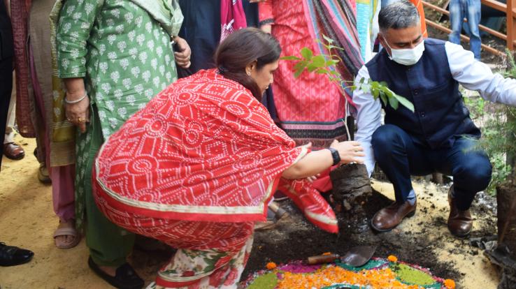 शिमला : राज्य रेडक्रॉस सोसायटी ने किया प्रदेश स्तरीय वन महोत्सव का शुभारंभ 