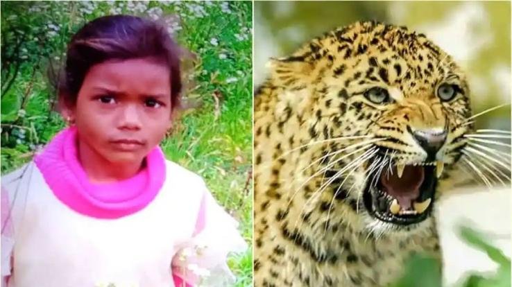 shimla-news-update-firstverdict-2021