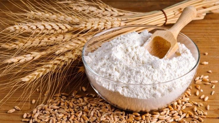 himachal-pradesh-news-update-august-2021