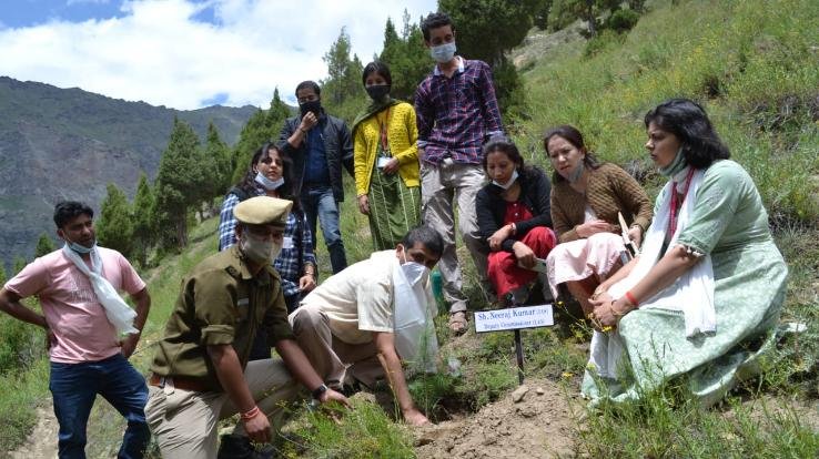 लाहौल : विश्व आदिवासी दिवस के उपलक्ष्य पर किया गया पौधरोपण