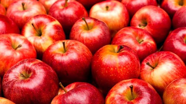 Shimla: Due to the fall in apple prices, the opposition targeted the government, raised this demand