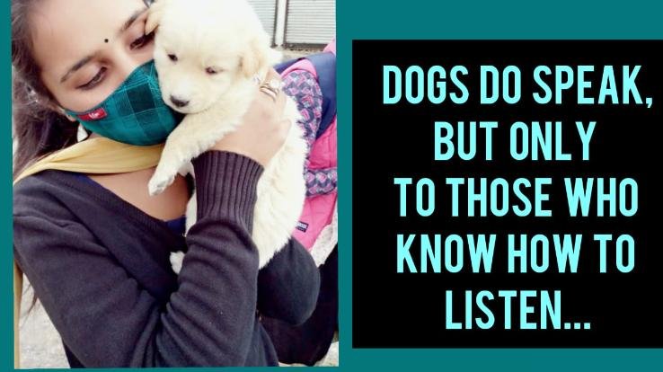 राजकीय महाविद्यालय राजगढ़ के जूलॉजी विभाग द्वारा मनाया गया 