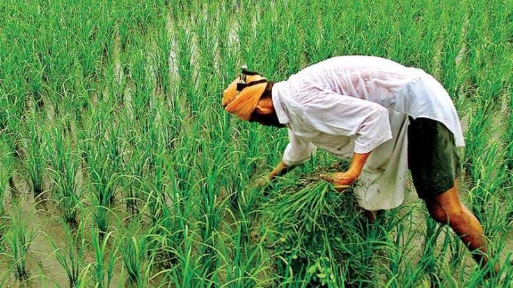 List of distribution of Prime Minister Kisan Samman Nidhi will be done in all the panchayats of the state