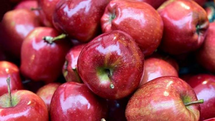 Shimla: The gardeners of Kotgarh will now save apples in packs of one kg, not in boxes