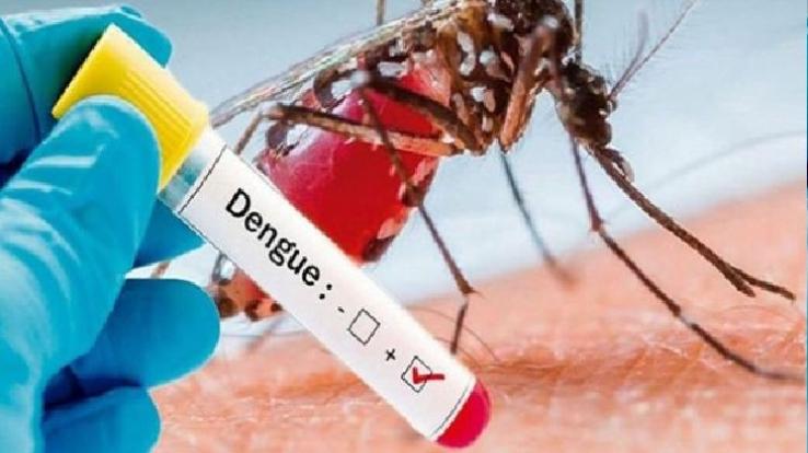677 new dengue patients found in Bangalore in August, increased risk