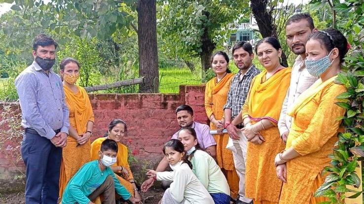 Mandi: Plantation program organized in DAV School