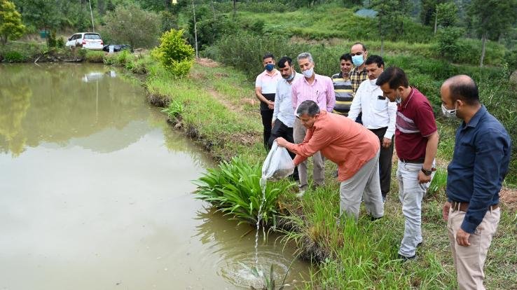 सोलन : मछली पालन शुरू करेगा नौणी विश्वविद्यालय, किसान और छात्र होंगे लाभान्वित