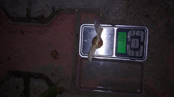 ज्वालामुखी:20 वर्षीय युवक से पकड़ी 3.57 ग्राम हीरोइन