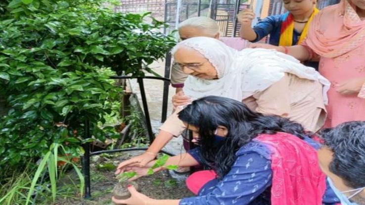 Elders in Solan called for nature conservation by planting saplings