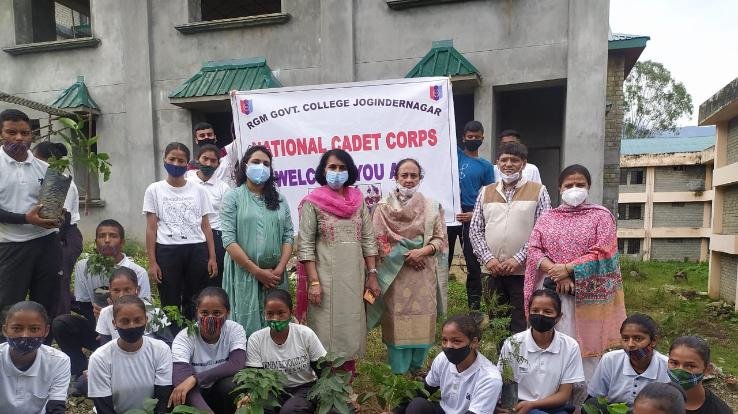 Mandi: NCC cadets planted ornamental saplings in the college campus