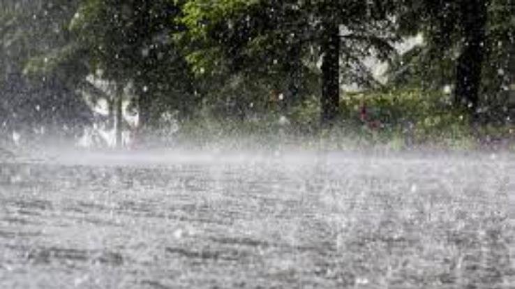 Rain wreaks havoc in Himachal, roads closed in many places, power failure
