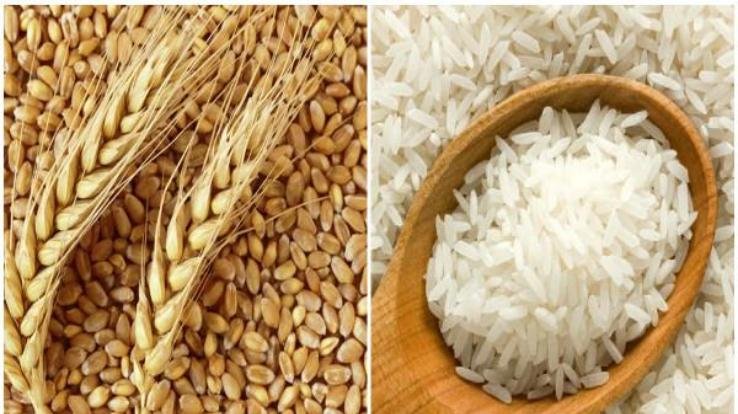 Himachal government will now make direct purchase of wheat and paddy from the farmers of the state