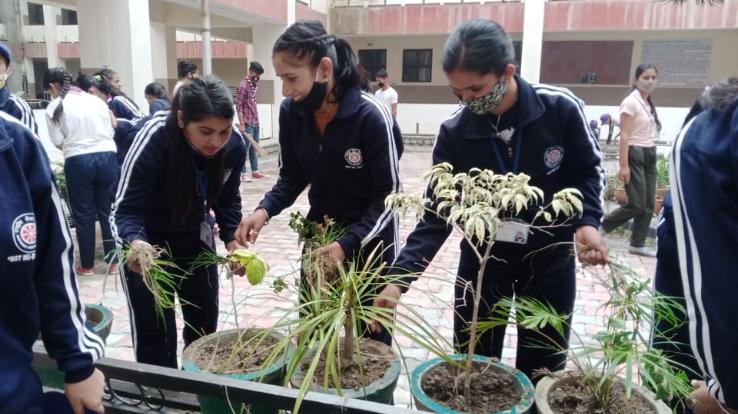 Karsog: Cleanliness campaign launched in the college on Gandhi Jayanti