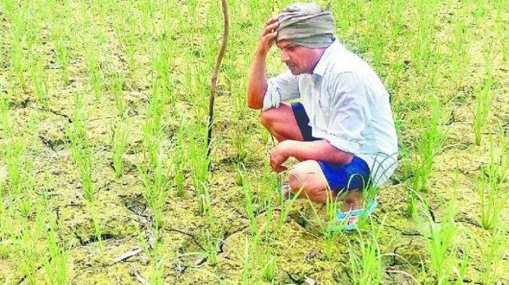 Himachal Kisan Sabha expressed concern over the soft attitude of the government towards the arhtiyas and the buyers