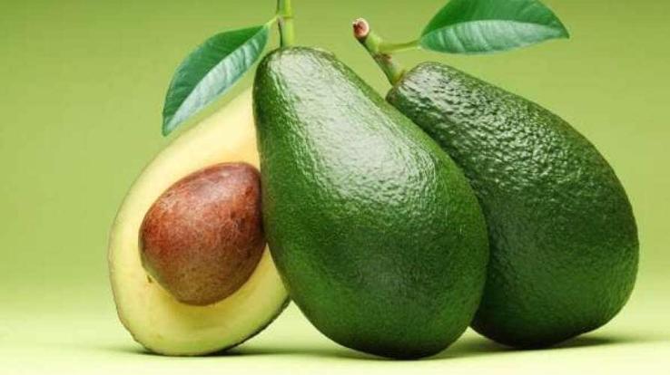 Avocado fruit will be produced in Himachal, successful trial