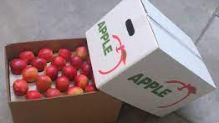 Apple carton more expensive due to increase in GST, another setback for gardeners