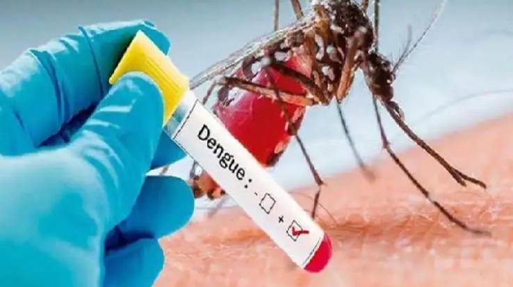 This year's first case of death due to dengue came to light in Delhi