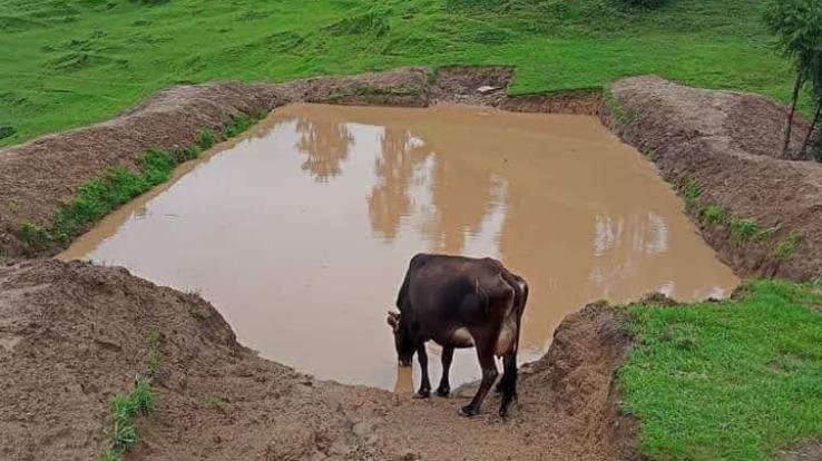 About 182 johads made in 33 panchayats of Rajgarh development block
