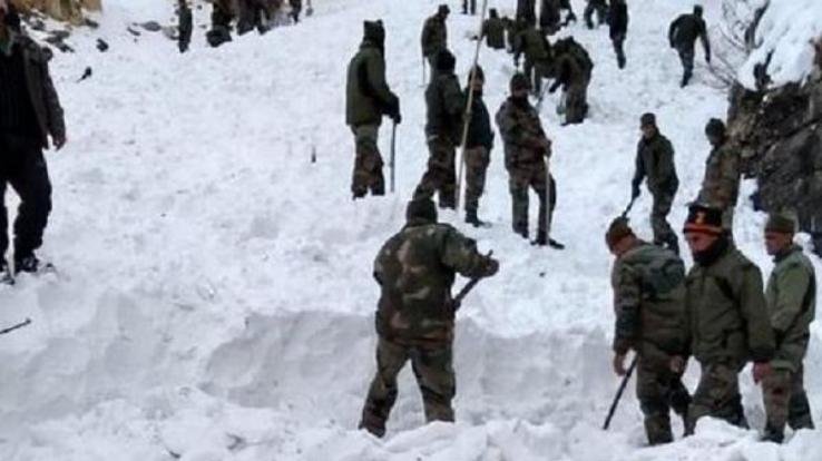 Kinnaur: Bodies of five recovered from missing trackers, search continues for four others