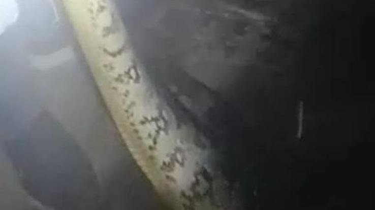 Volcano: Huge python entered houses in Bhadoli area, panic among people