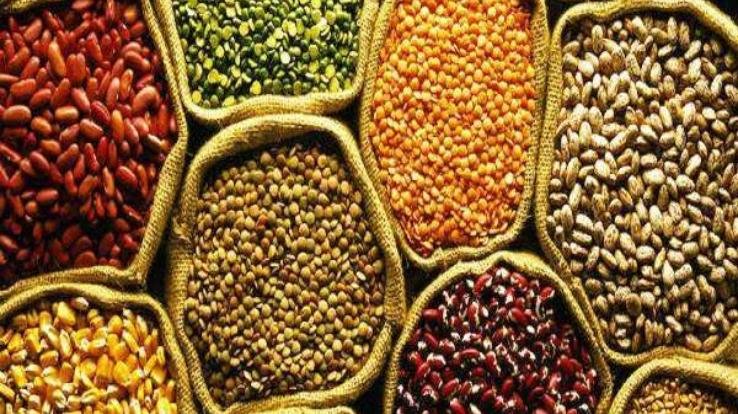 Relief: Pulses will be available in the state's ration depots from November by 22 rupees