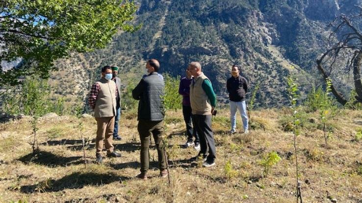 Nauni: High Density Cultivation of Apples Important for Increasing Productivity and Socio-Economic Status