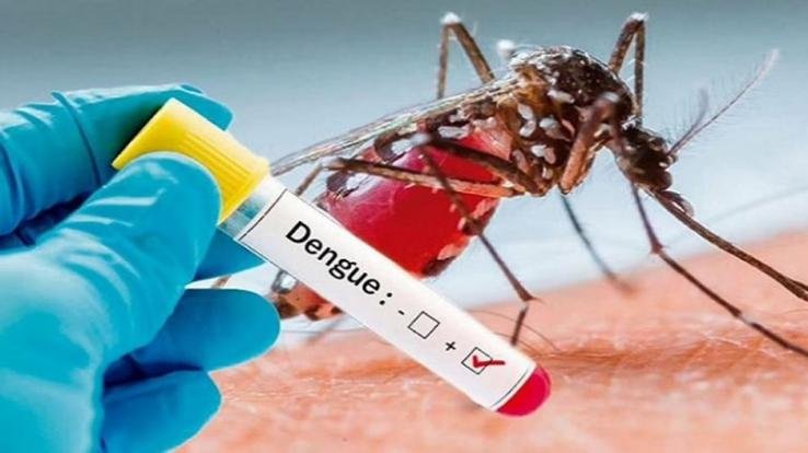 So far six people have died due to dengue in Delhi, total cases exceed 1530