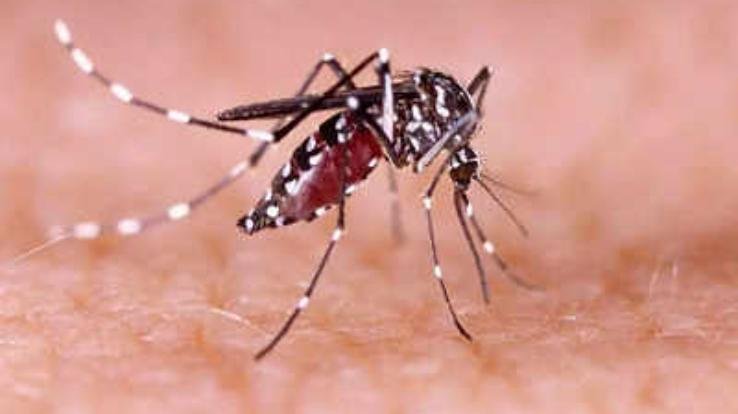 The havoc of Zika virus did not stop in Kanpur, 16 new cases surfaced